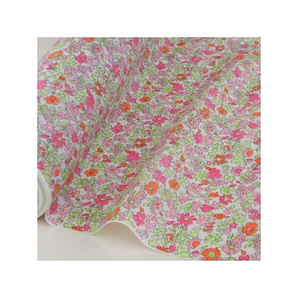 ȃ[n ԕ 50cmP { m n | 60[ 100 ԕ 萶n V[vh[Y