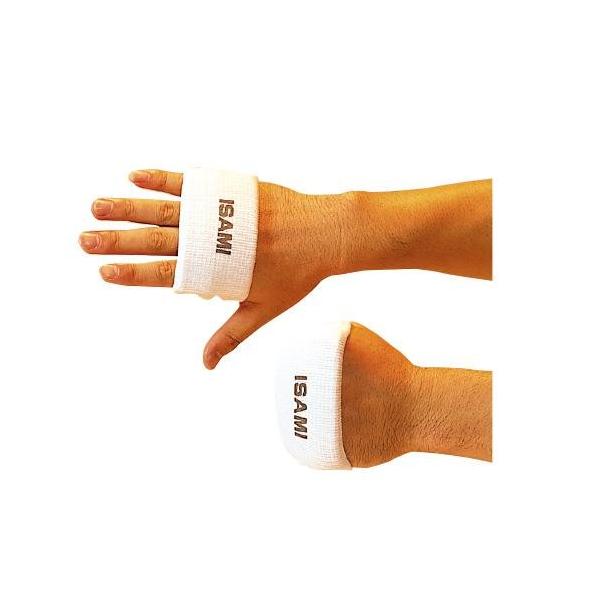 ysz ISAMI@CT~@ibNK[h L-300