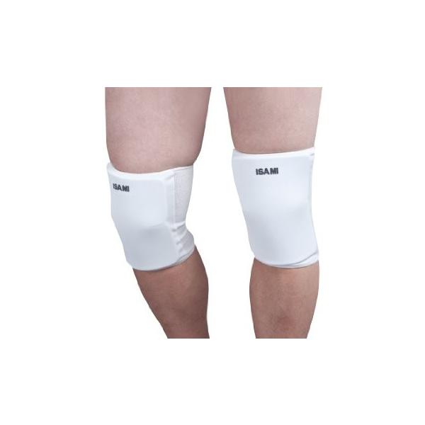 ISAMI CT~ j[LbvK[h L-120  XSTCY