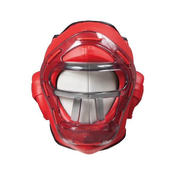 ISAMI イサミ TT-300 レギュラーヘッドガード （ヘッドカバー付