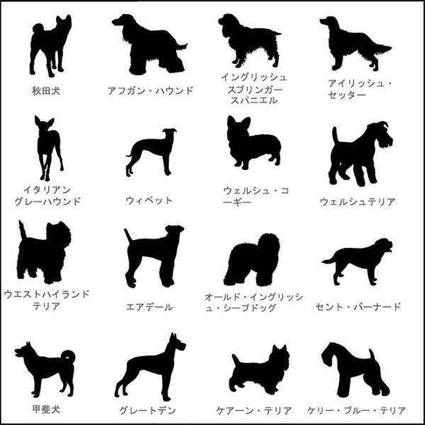 抗菌加工 Iphone 12 Pro 手帳型 ケース Oppo Reno3a Oppo 3 Iphone11 Xr Xsmax 8plus 7plus 6plus 6splus Iphone5 5s Se Buyee Buyee 提供一站式最全面最專業現地yahoo Japan拍賣代bid代拍代購服務 Bot Online