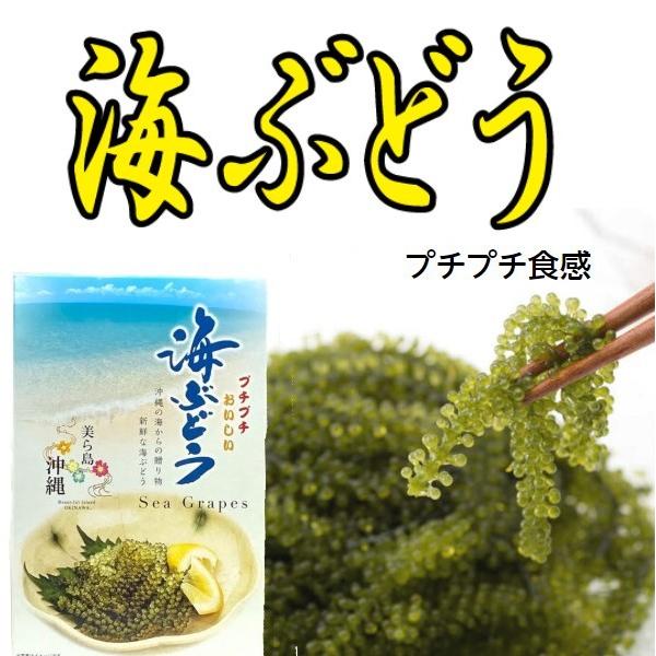 海ぶどう 50ｇ沖縄 お土産 海藻 おつまみ 珍味 0066 しーさーどっとこむ 通販 Yahoo ショッピング
