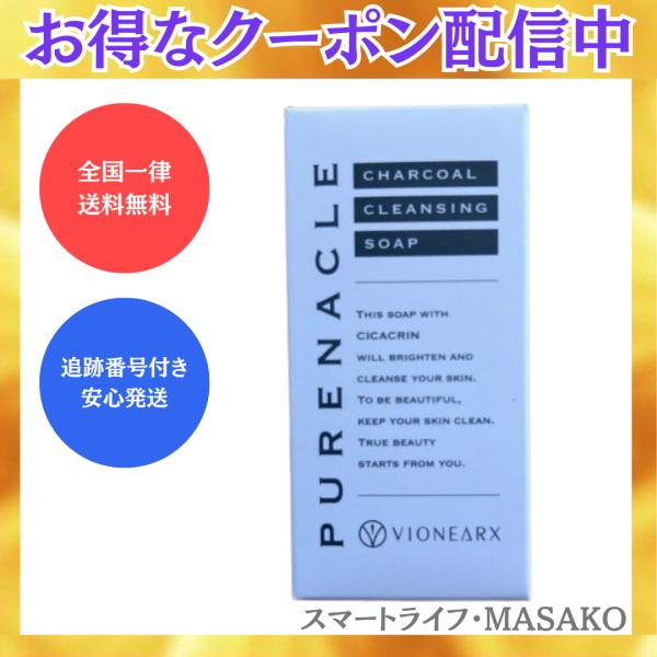 ピュアナクレ 洗顔料20g クレンジング 洗顔 炭 泥 毛穴 シカ ヴィワン