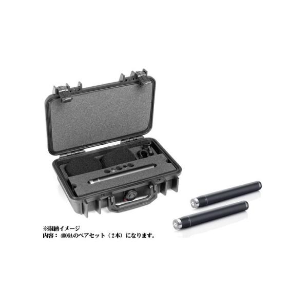 DPA ST4006A ステレオ・キット（4006A×2）（お取り寄せ商品・納期別途ご案内）