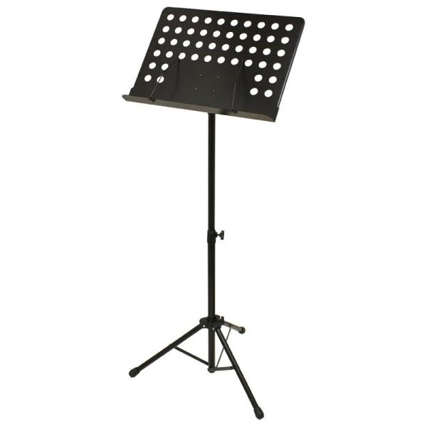 ARIA AMS-301B ʑ