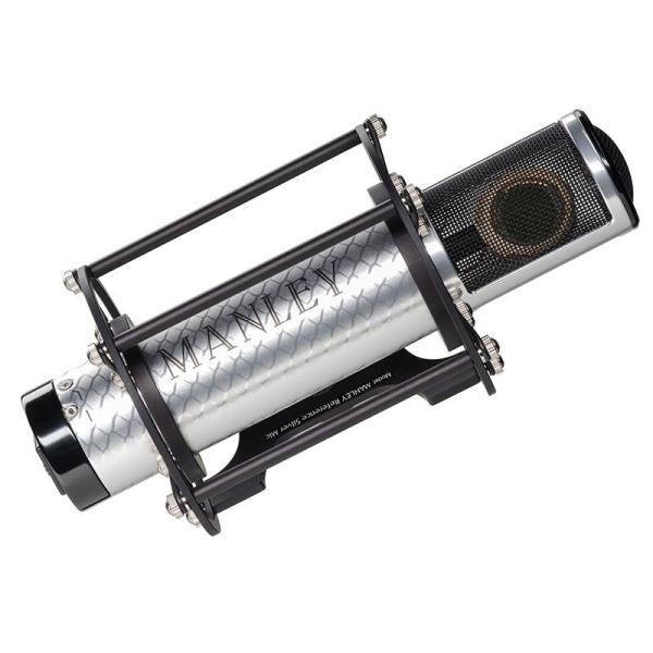 Reference Silver Microphone