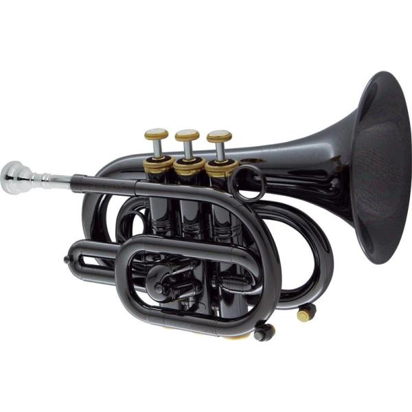 CAROL BRASS キャロルブラス / N3000 BLK GB 【Bb ポケット