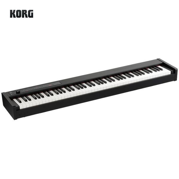 他サイト： KORG DIGITAL PIANO D1 BK ※沖縄・離島送料別途お見積りの商品画像