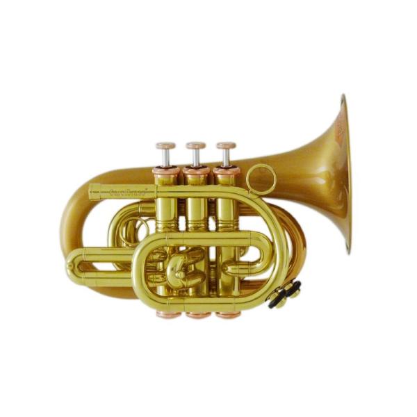 CAROL BRASS �L�������u���X / N3002 Arturo Sandoval �yBb �|�P�b�g�g�����y�b�g�z�y�o�בO�����ň��S�z