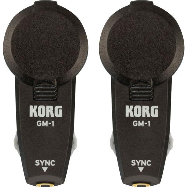KORG GM-1 / 2Zbg [e|\ȃCz^gm[ ]