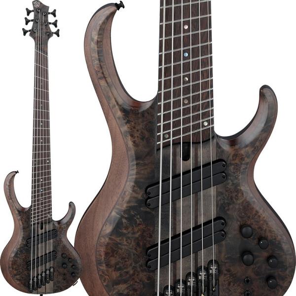 Bass Workshop BTB806MS-TGF