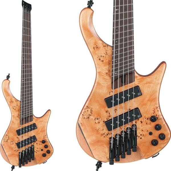 Bass Workshop EHB1505SMS-FNL