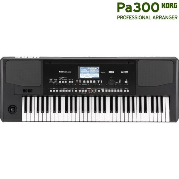 Pa300 Professional Arranger