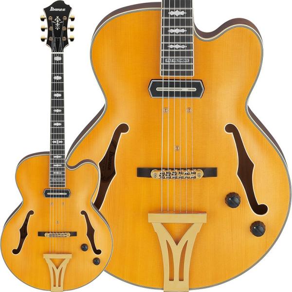 ARTSTAR PM3C-NAL Pat Metheny Signature Model