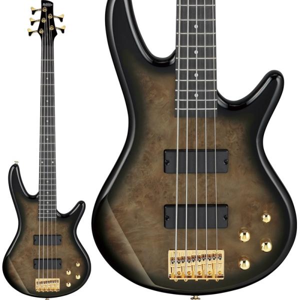 Gio Ibanez GSR205PC-TPB (Transparent Pale Black Burst)