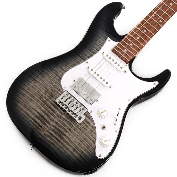 AZ Standard AZ22S1F-TKS