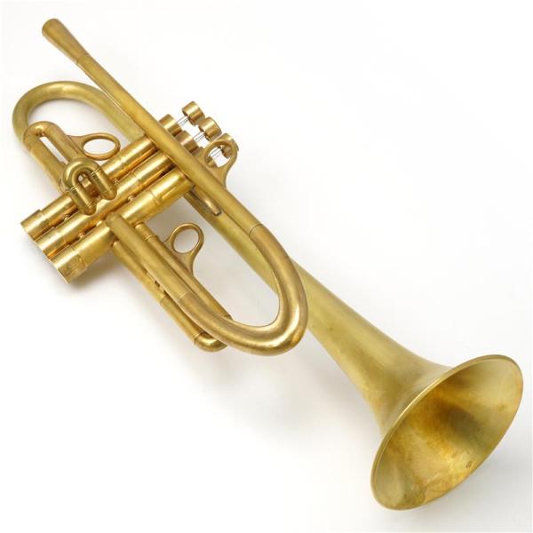 管楽器・吹奏楽器 CALANLS TOKYO 61kZ9ZpliFL._UF350,350_QL50_.jpg