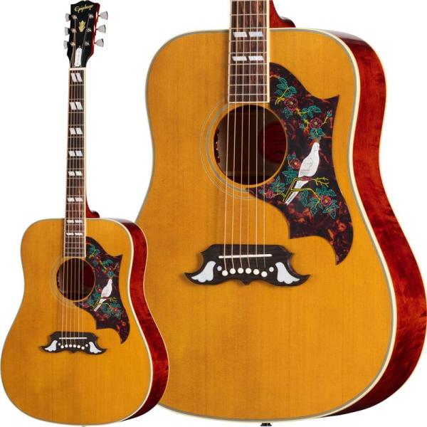 Epiphone 【数量限定エピフォン・アクセサリーパック・プレゼント】1963 Dove Reissue エピフォン