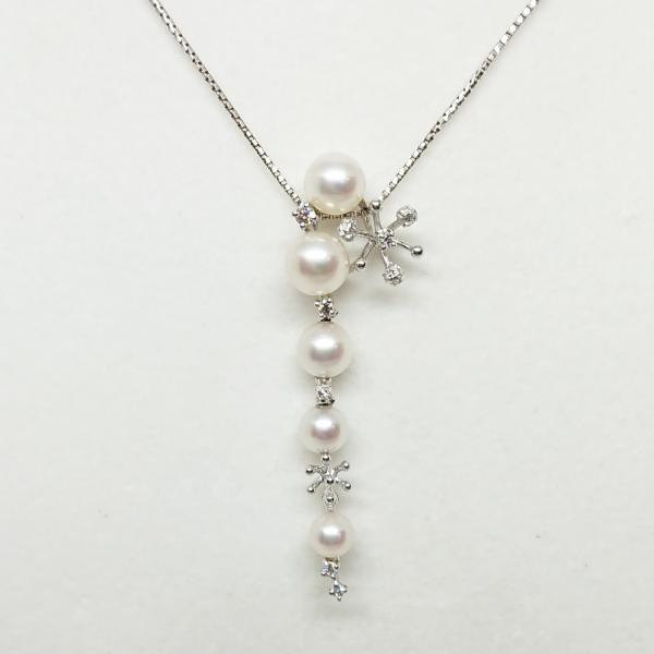 shichi-nishigaki_b0625tasaki