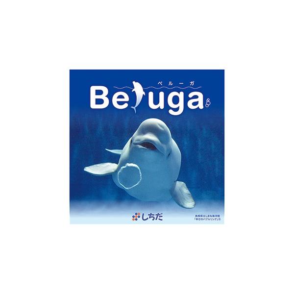 七田式に取り組む前はもちろん、勉強やスポーツ前の集中力UPに！〜Beluga(ベルーガ)