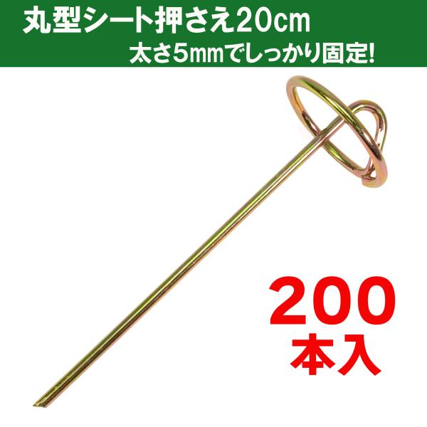 丸型 太線 5Φ シート押さえピン シートストッパー 200本セット シート押えピン 杭