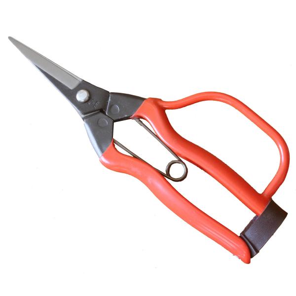 女性用に刃の丁度よい長さを採用し、ガード付でしっかりと握れる形状にしました。摘果鋏の刃角度よりも鋭利にしてあり、青果用（トマト・茄子・胡瓜・ピーマンなど）に開発されております。長時間の作業にも疲れないよう重量も軽くし、実を刺さないように先端...