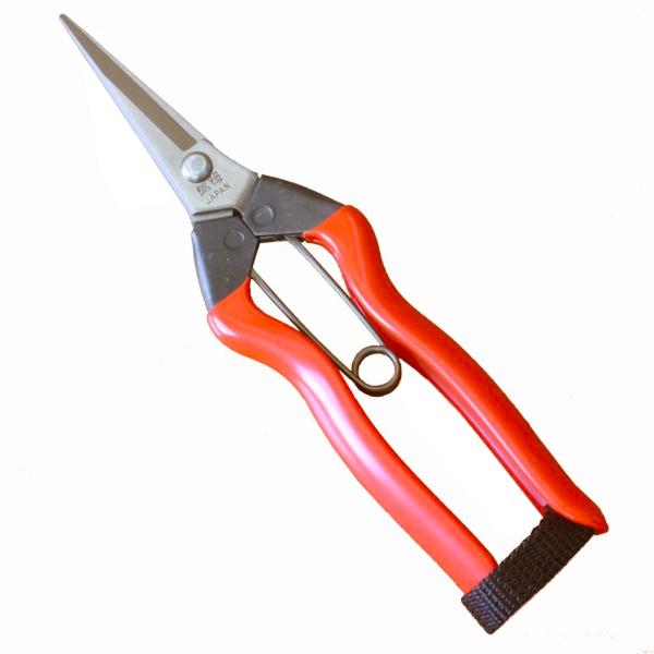 九州型芽切鋏の形状をベースに錆びにくいステンレス刃を使用。苗の栽培農家、果樹・野菜栽培農家と幅広く使われています。【仕様】全長：約185mm刃長：約50mm重量：約89g材質：ステンレス鋼メーカー：小林製鋏