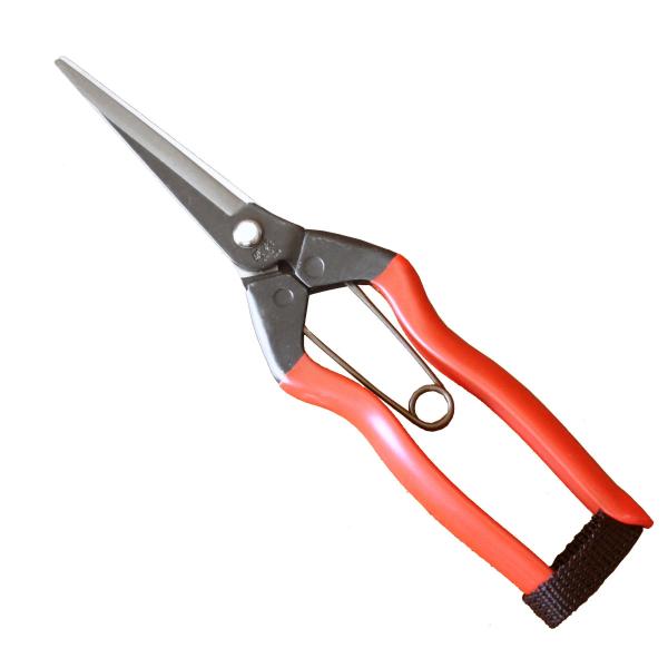 先端を丸くして実を刺しにくくしてあります。ほうれん草などの根切りにも御使用いただいております。【仕様】全長：約200mm刃長：約70mm重量：約93g材質：炭素鋼メーカー：小林製鋏