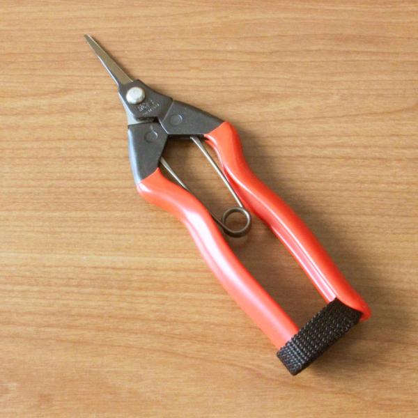 トマト用収穫鋏です。収穫するときに皮を挿してしまわないように先端を丸くしてあります。【仕様】全長：約165mm刃長：約32mm重量：約85g材質：炭素鋼メーカー：小林製鋏