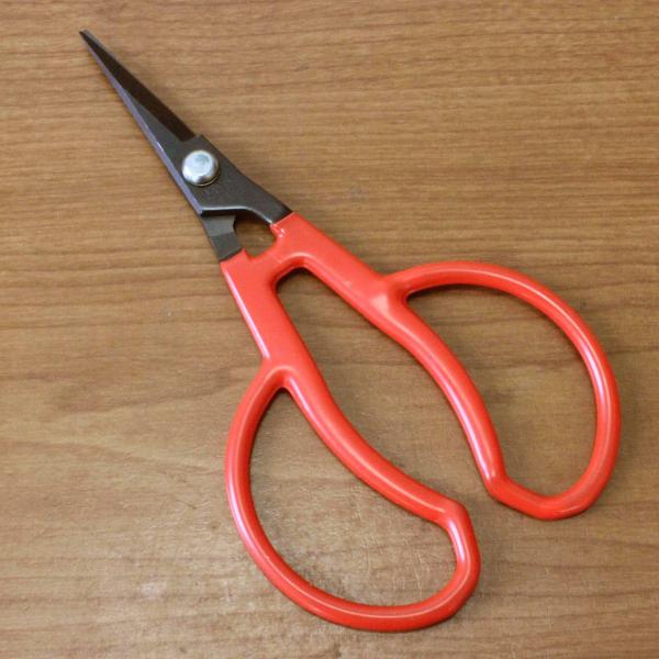 ぶどう刈用に開発した商品です。小さなお子様の手でも入るように小さくしてあります。【仕様】全長：約140mm刃長：約36mm重量：約42g材質：炭素鋼メーカー：小林製鋏