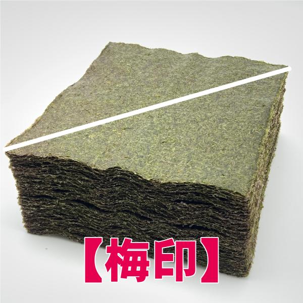 ĊCۋƖp2200(OpE΂߃Jbg)~