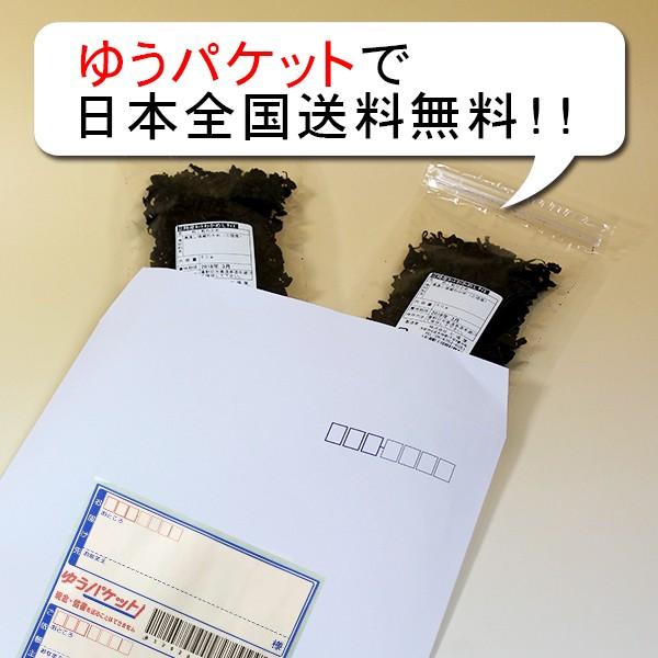 三陸産カットわかめ40ｇ×2袋 ゆうパケットで送料無料 /【Buyee】 