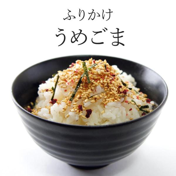 ○おすすめポイント炒り白ごまをベースに梅味の顆粒・果肉チップをブレンド。ごまの風味が香ばしく梅味でさっぱり。色味がかわいいので、おにぎりにまぶしたり、ちらし寿司にもオススメです。夏場にはそうめんやうどんの薬味としてもお使いいただけます。○原...