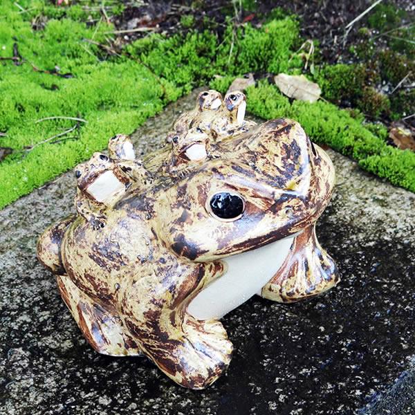 信楽焼 蛙 置物 かえる 陶器 縁起物 かわいい カエル おしゃれ ギフト