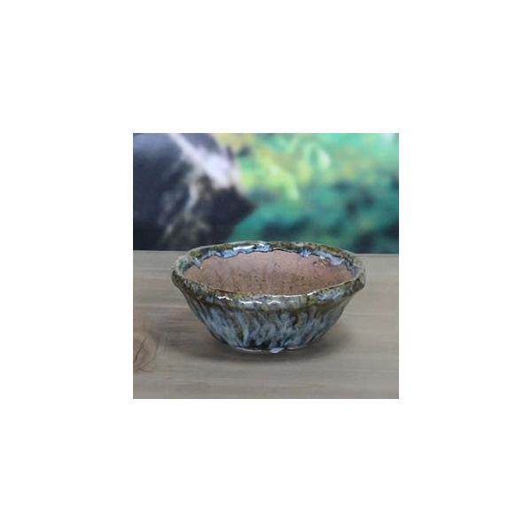 My R쑐 Â R   R  RPʂ₫   sa-0268