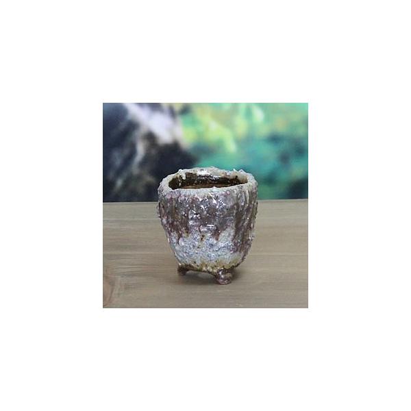 My R쑐 Â R   R  RPʂ₫   sa-0280