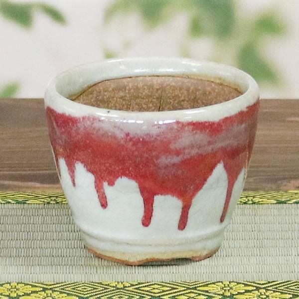 山野草鉢 信楽焼 手づくり 山草鉢 鉢 山草 鉢 コケ玉 手作り 植木鉢 陶器 やきもの いがらき 奥田康人作 Sa 0313 Sa 0313 しがらき 通販 Yahoo ショッピング