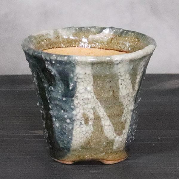 山野草鉢 信楽焼 手づくり 山草鉢 鉢 山草 コケ玉 手作り 植木鉢 陶器