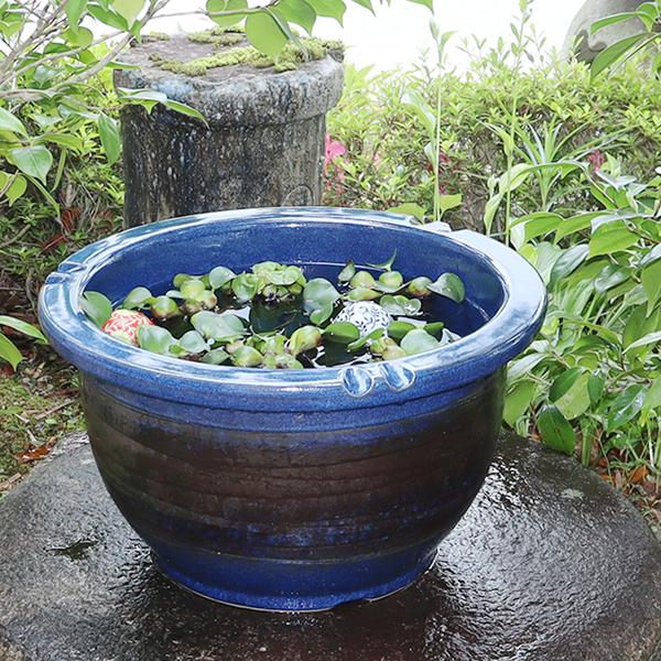 信楽焼 睡蓮鉢 メダカ鉢 おしゃれ めだか鉢 陶器 水鉢 信楽焼 睡蓮鉢 メダカ鉢 おしゃれ めだか鉢 陶器 水鉢