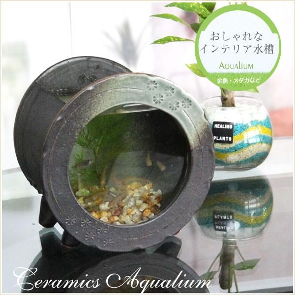 信楽焼 陶器水槽 陶器 ガラス 水槽 和風 インテリア メダカ鉢 信楽焼 陶器水槽 陶器 ガラス 水槽 和風 インテリア メダカ鉢