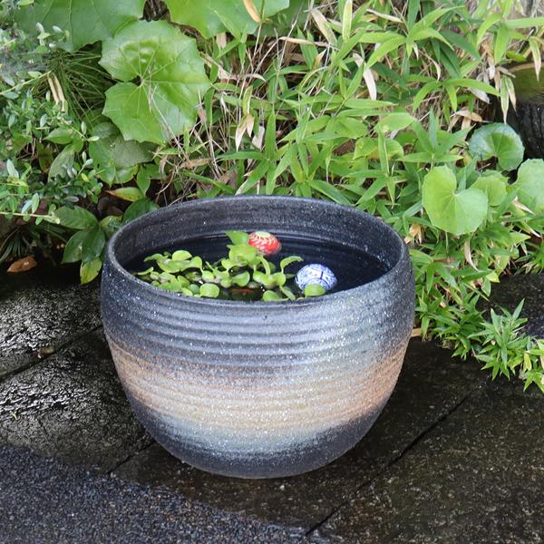 信楽焼 睡蓮鉢 メダカ鉢 おしゃれ めだか鉢 陶器 水鉢 ビオトープ