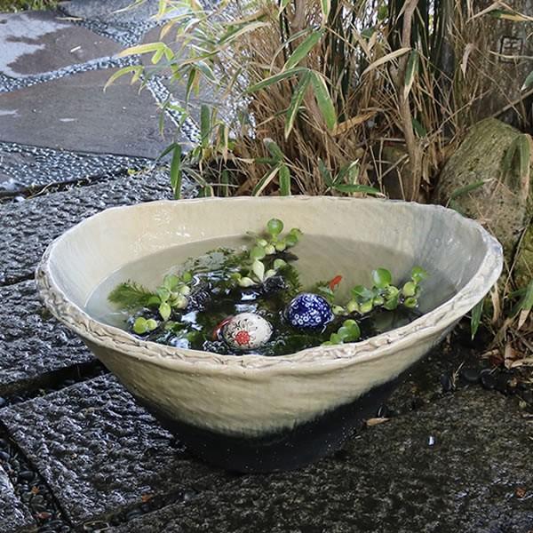 信楽焼 メダカ鉢 睡蓮鉢 水鉢 直径31cm 信楽焼 メダカ鉢 睡蓮鉢 水鉢 直径31cm