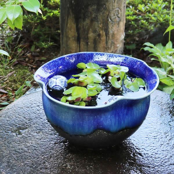 信楽焼 睡蓮鉢 メダカ鉢 おしゃれ めだか鉢 陶器 水鉢 ビオトープ