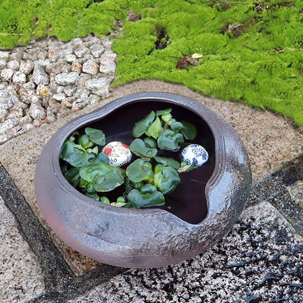 信楽焼 睡蓮鉢 メダカ鉢 おしゃれ めだか鉢 陶器 水鉢