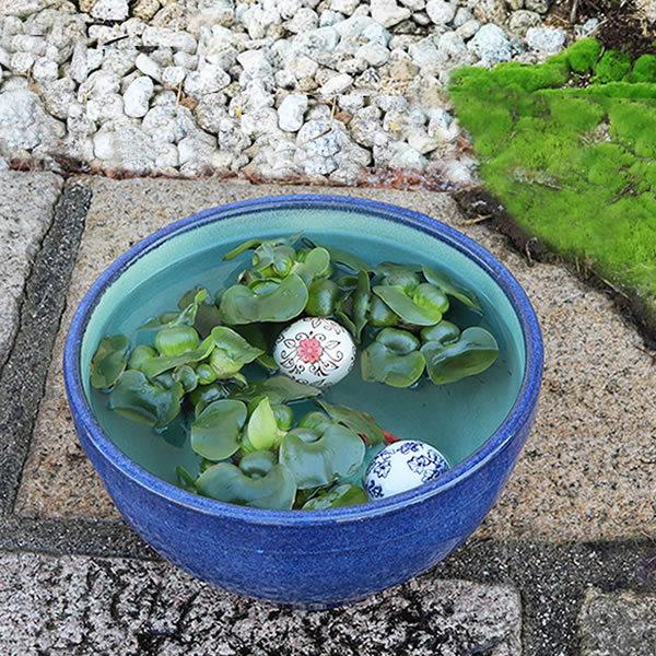 信楽焼 睡蓮鉢 メダカ鉢 おしゃれ めだか鉢 陶器 水鉢 信楽焼 睡蓮鉢 メダカ鉢 おしゃれ めだか鉢 陶器 水鉢