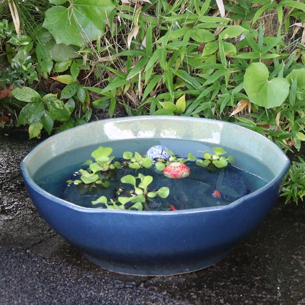 信楽焼　手作りめだか鉢　水連鉢　ビオトープ　直径55㌢ 信楽焼 手作りめだか鉢 水連鉢 ビオトープ 直径55㌢