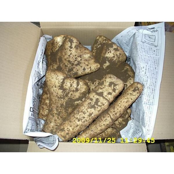 夏季はクール便代が別途必要です