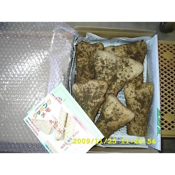 夏季はクール便代が別途必要です