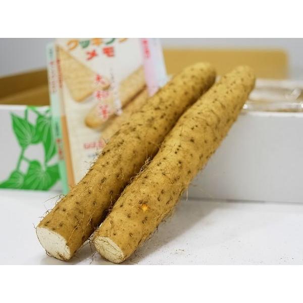 夏季はクール便代が別途必要です