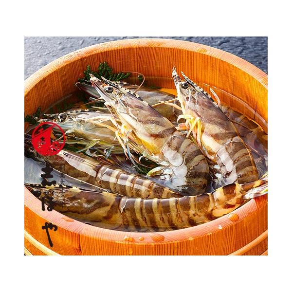 Ε j Ԃ 210gi7`8Cjyo׎F12zyF3z yN[ցz